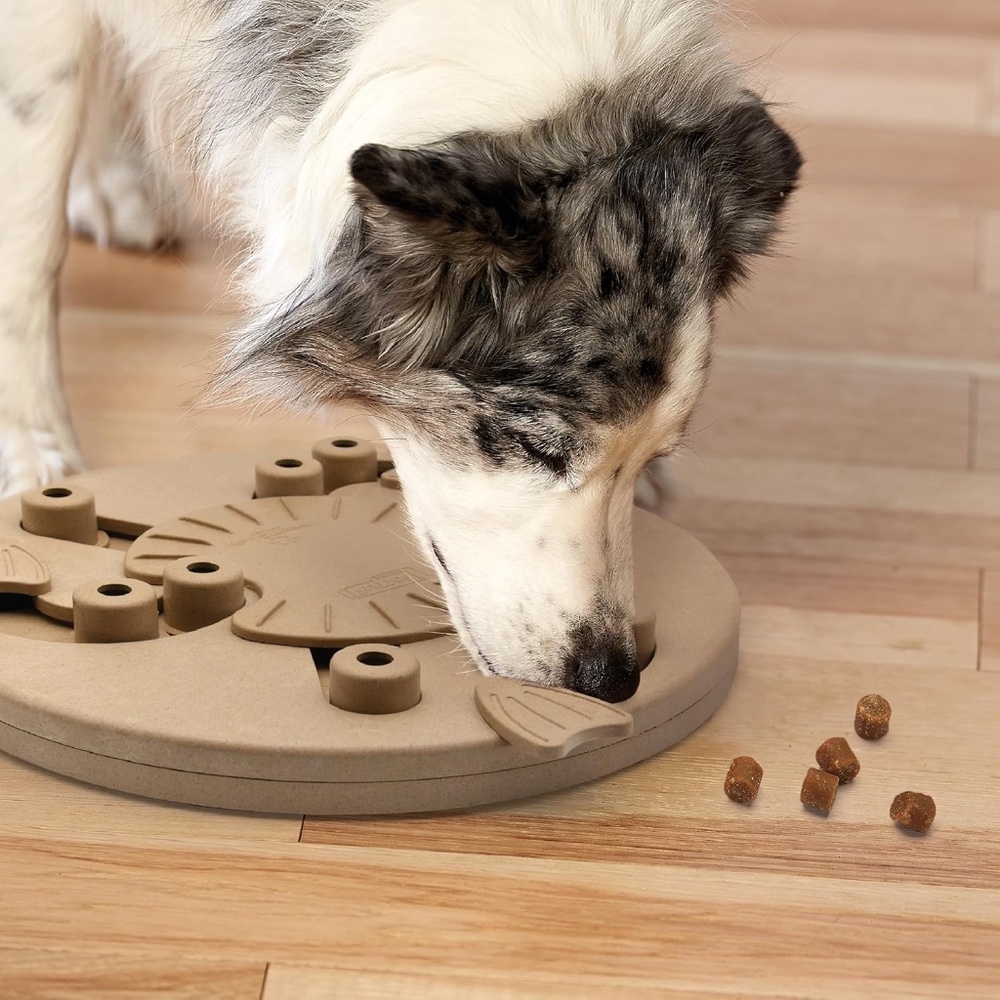 Outward Hound by Nina Ottosson Dog Worker Treat Puzzle Enrichment Toy, Level 3 A